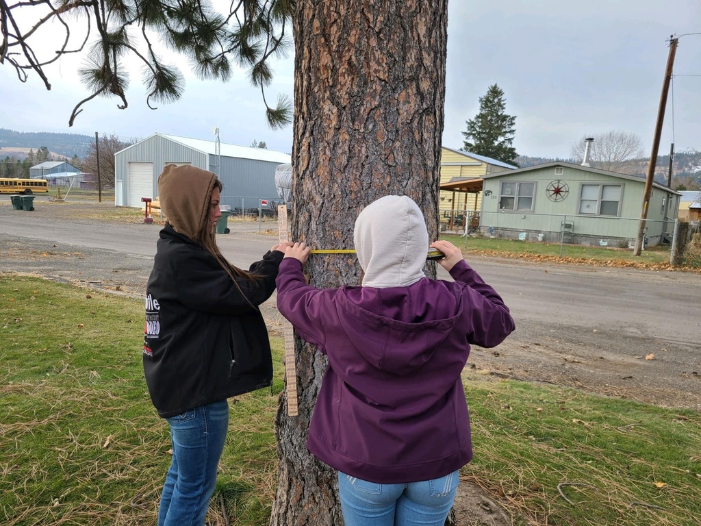 students in forestry